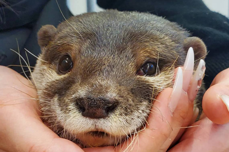 コンセプト画像