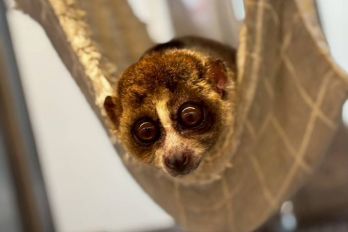 ギャラリー画像1