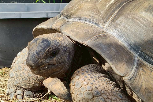 ギャラリー画像2