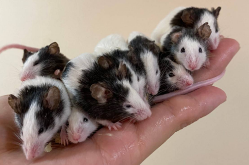 ギャラリー画像6