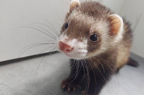 ギャラリー画像5